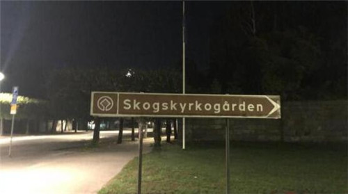 中国游客遭瑞典警方拖打遗弃坟场 中方提严正