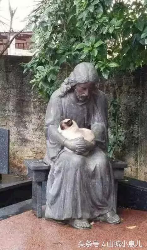 搞笑趣图:网友设置的世界杯日本队阵容,你觉得