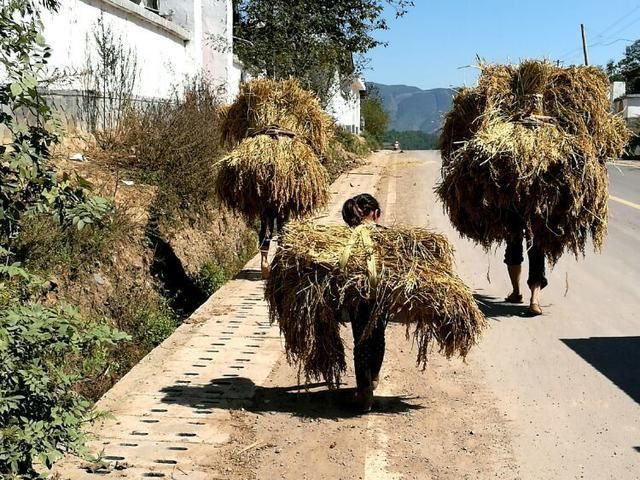 凉山的孩子,中国最贫困地区的花朵