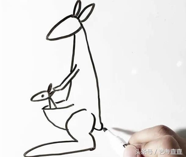 动物画画|袋鼠简笔画绘画教程步骤,教你怎么画