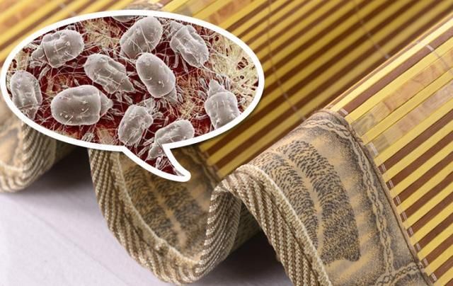 好痒,睡了一晚凉席,长了一身疙瘩,医生说我得了