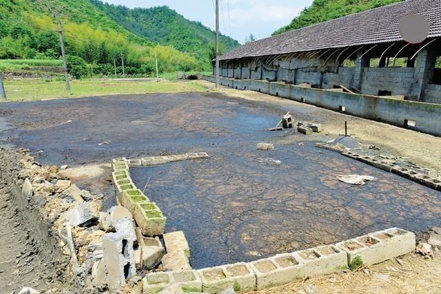 弃20万年薪副总,回农村搞养殖,年收入300万,他