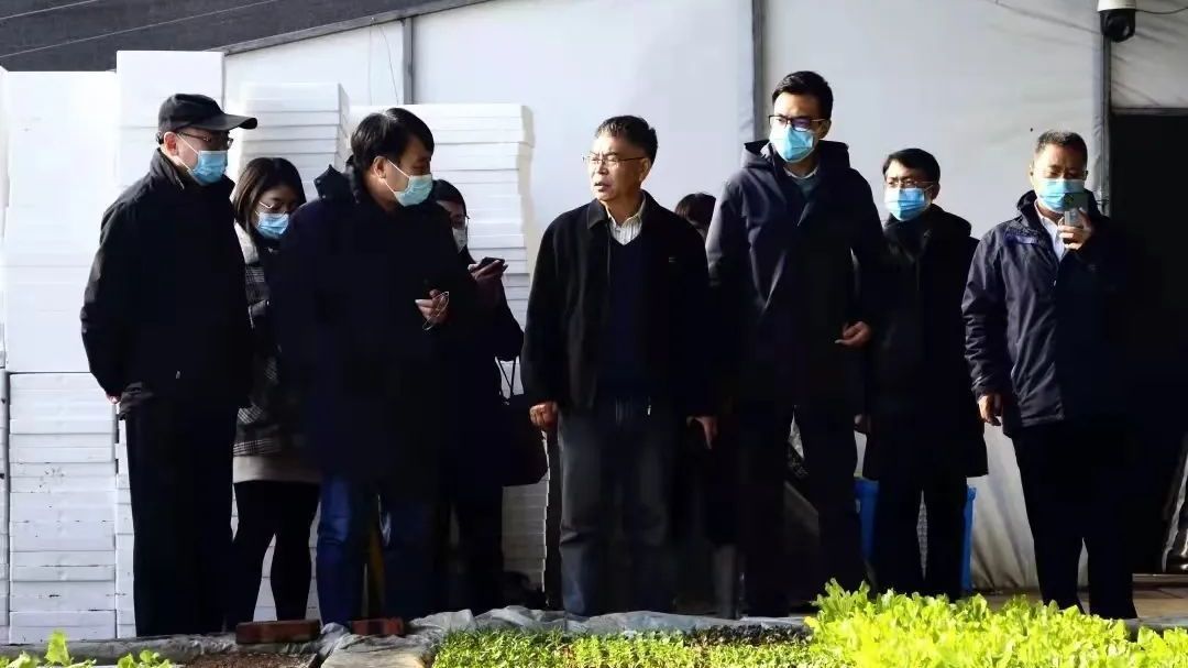 专家学者走进延庆永宁镇为推动特色农业发展建言献策