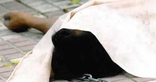 博白一男子冒充妻子,约出暧昧对象并残忍杀害