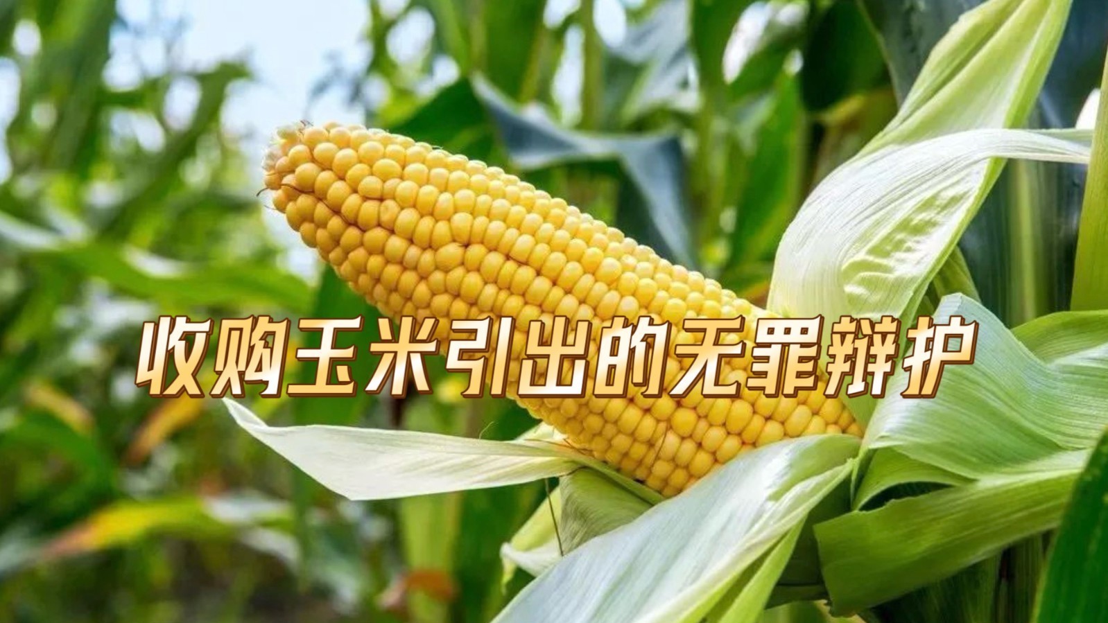 收购玉米引出的无罪辩护