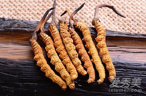 冬虫夏草怎么吃 冬虫夏草的正确吃法