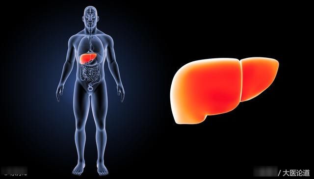 山西省中医院:这7个简单食谱,教你吃掉脂肪肝