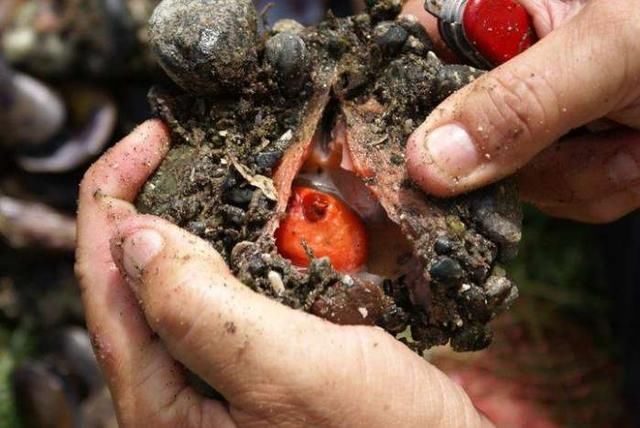 10个"乱捡垃圾"不小心捡到宝, 变富翁的超级幸运儿!