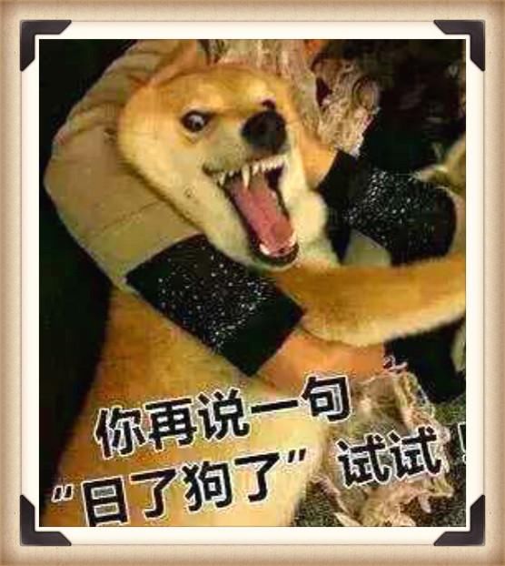 恐怖片《伊阿索密码》与《昆池岩》深度解析,