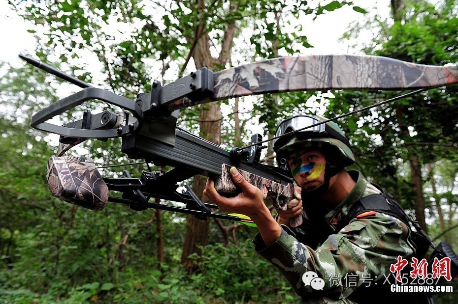 悄无声息取敌首级:我军装备的军用十字弩
