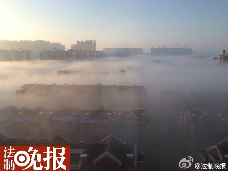 图为网友分享浓雾照片。