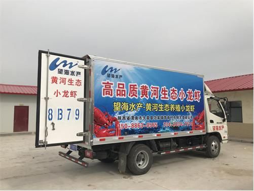 小龙虾养殖有风险,不是想养就能养