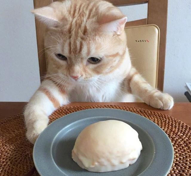 贪吃的人口_贪吃的变色龙图片