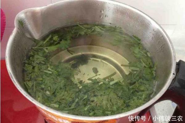 香菜根煮水有什么功效,有没有什么副作用!