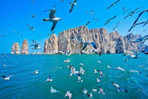 山东唯一海岛县,被称为海上仙山,却因人口流失