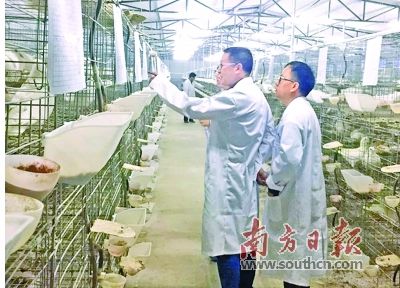 广东农信助力南粤乡村振兴