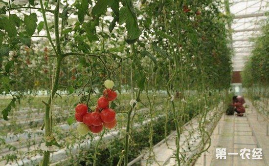 六部委联合印发《生态扶贫工作方案》 力争带