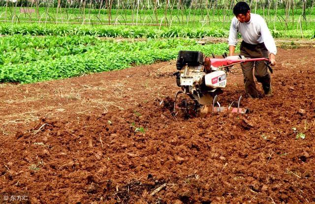 2018年水稻、玉米、大豆补贴什么时候发?多少