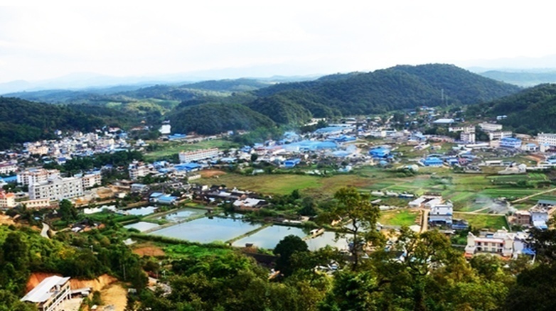 政府通报,近日,勐海县勐遮镇曼央龙村委会曼潘小组发生食物中毒事件
