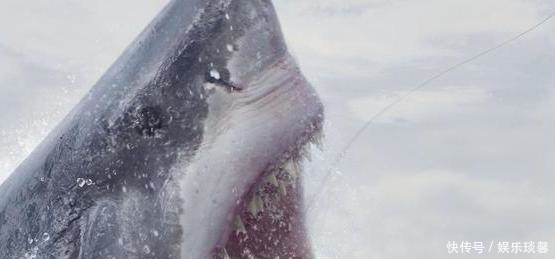 一部很纯粹的动物灾难片《巨齿鲨》,单纯的想