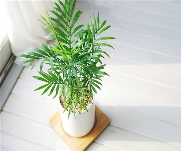 t018b69873039ce4888.jpg?size=600x500