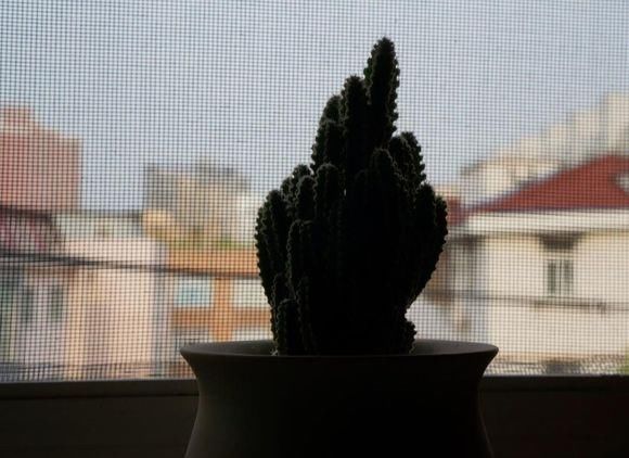 华为P20PRO手机与入门级微单拍照样张对比: