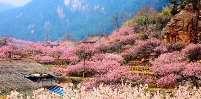 最新消息!今天起,青岛崂山北九水景区正式对外