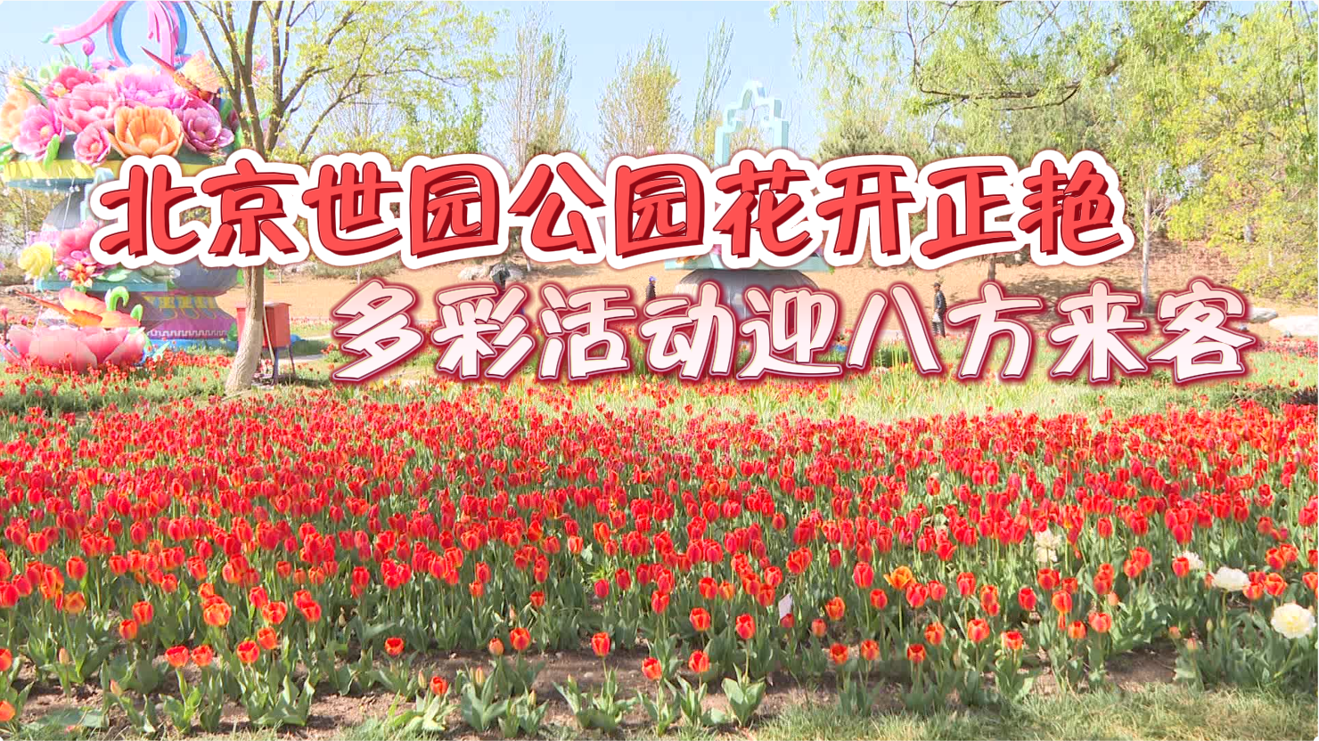 北京世园公园花开正艳 多彩活动喜迎八方来客 快来收好这份攻略！