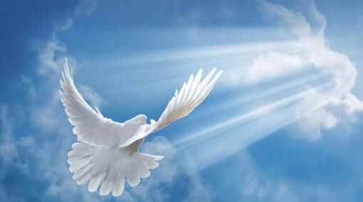 积极挖掘爱心新模式 企业为公益事业添砖加瓦