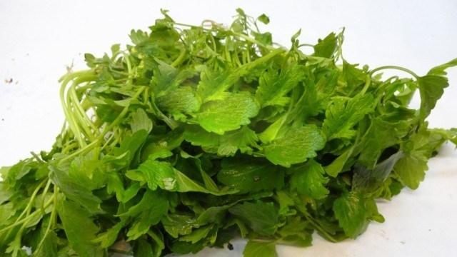 益母草怎么吃?潮汕人最在行的煮法 竟是产后恢