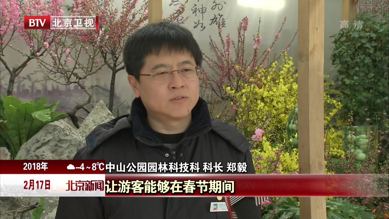 游园赏花祈运纳福  春节期间预计180多万市民逛公园