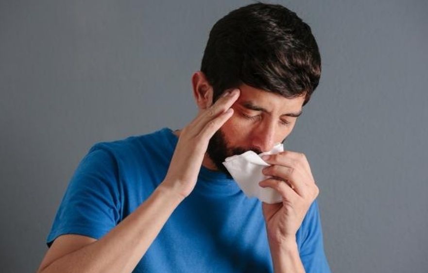 鼻炎反复发作,不妨常喝1种茶,专治鼻炎,鼻塞一