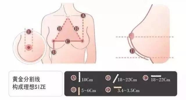 你还在玩抖音吗?现在妹子都流行抖胸了.