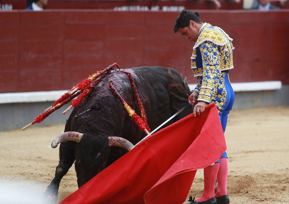 马德里斗牛表演场面惊险刺激