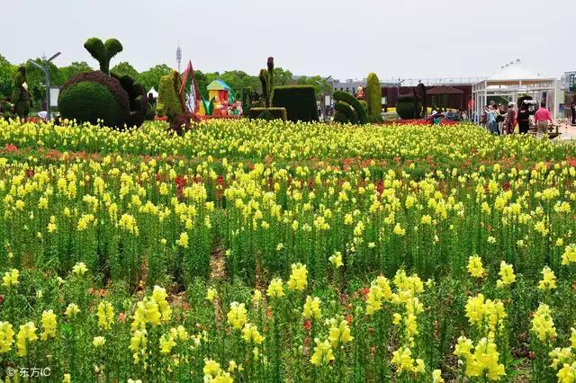 现在做什么小本生意比较有前景,农村致富项目