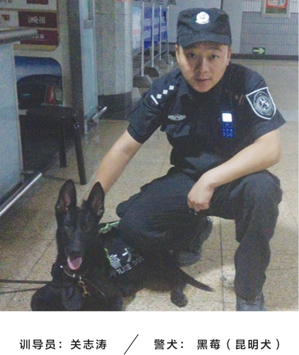 公交警犬卡通形象 七小汪 发布七只犬以 忠诚爱国永平安 命名 雪花新闻