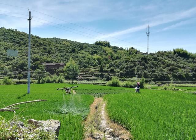 分公司:把握发展新趋势 政企携手共推无人机保