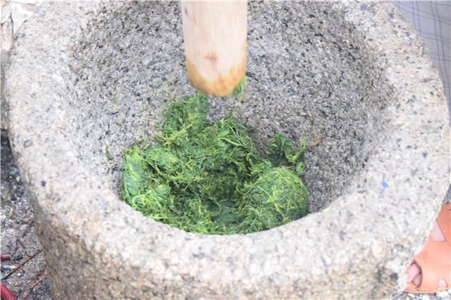 路边的野草又苦又涩牛都不吃,农家人采回来做