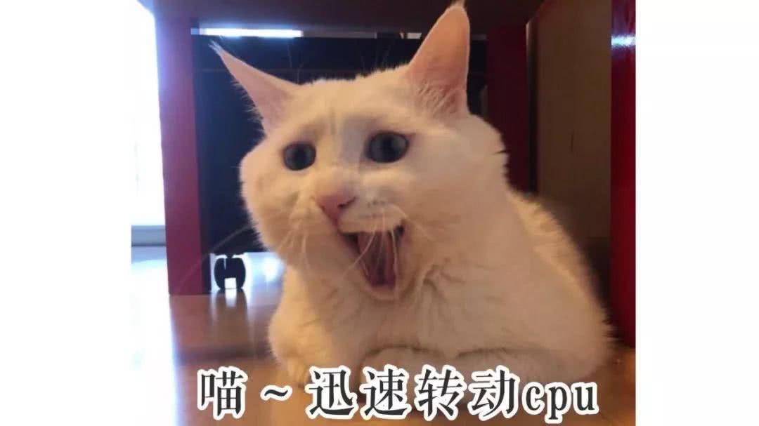 我胖胖胖,脚崴崴崴