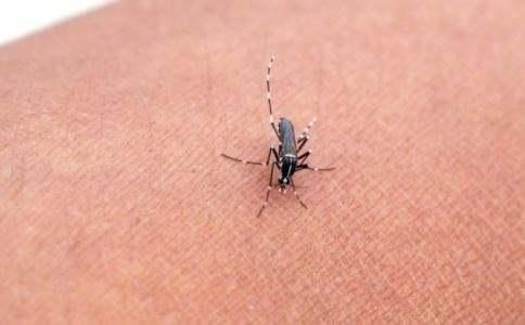 一只蚊子叮咬了一个艾滋病患者,又咬一个正常