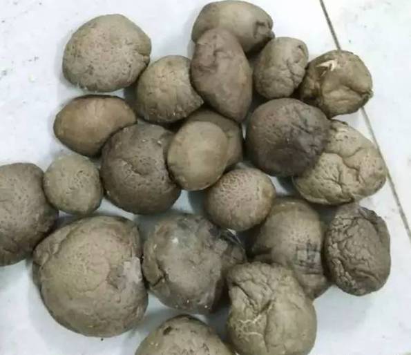 什么样的香菇才是质量好的香菇 什么样的香菇才是质量好的香菇