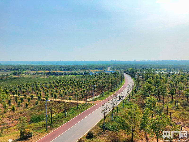 【美丽中国长江行】安徽合肥:江淮分水岭上的6万亩林海氧吧 【美丽中国长江行】安徽合肥:江淮分水岭上的6万亩林海氧吧