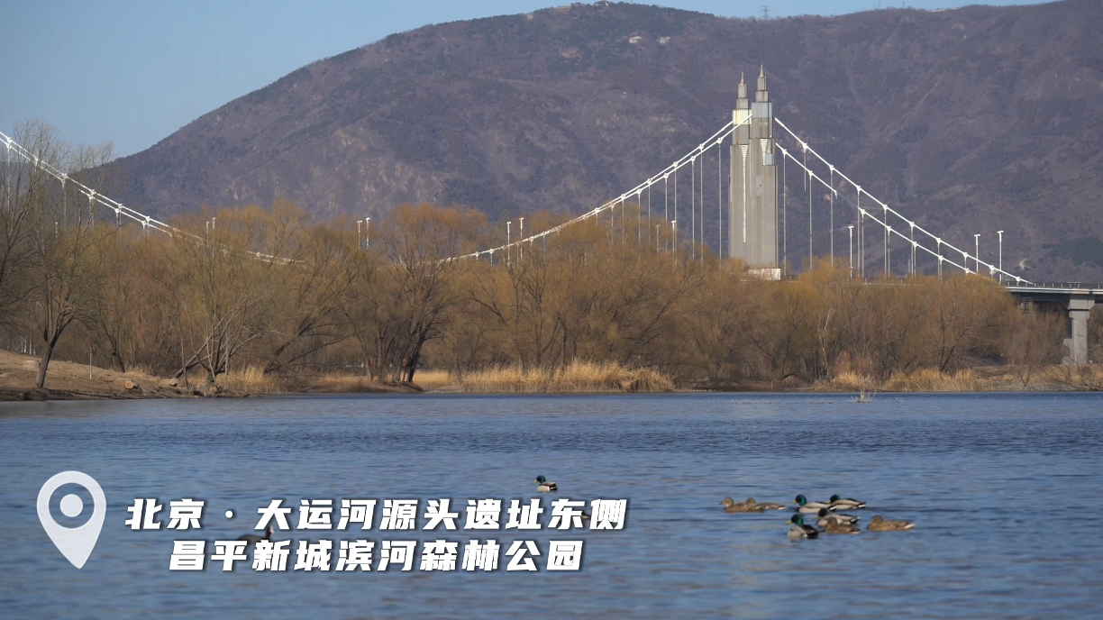 ​悠然的水鸟天堂：昌平区滨河森林公园
