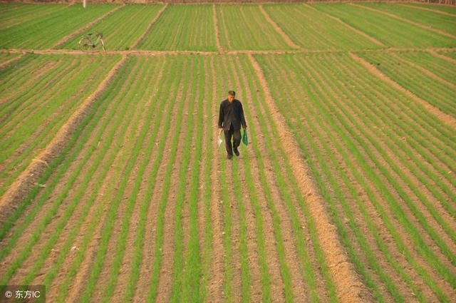 2018年会强制性土地回收?农民该高兴还是悲伤