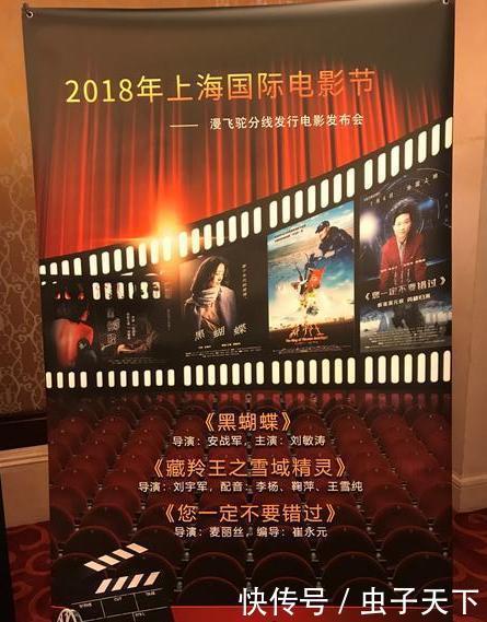 麦丽丝导演,崔永元编导,电影《您一定不要错过