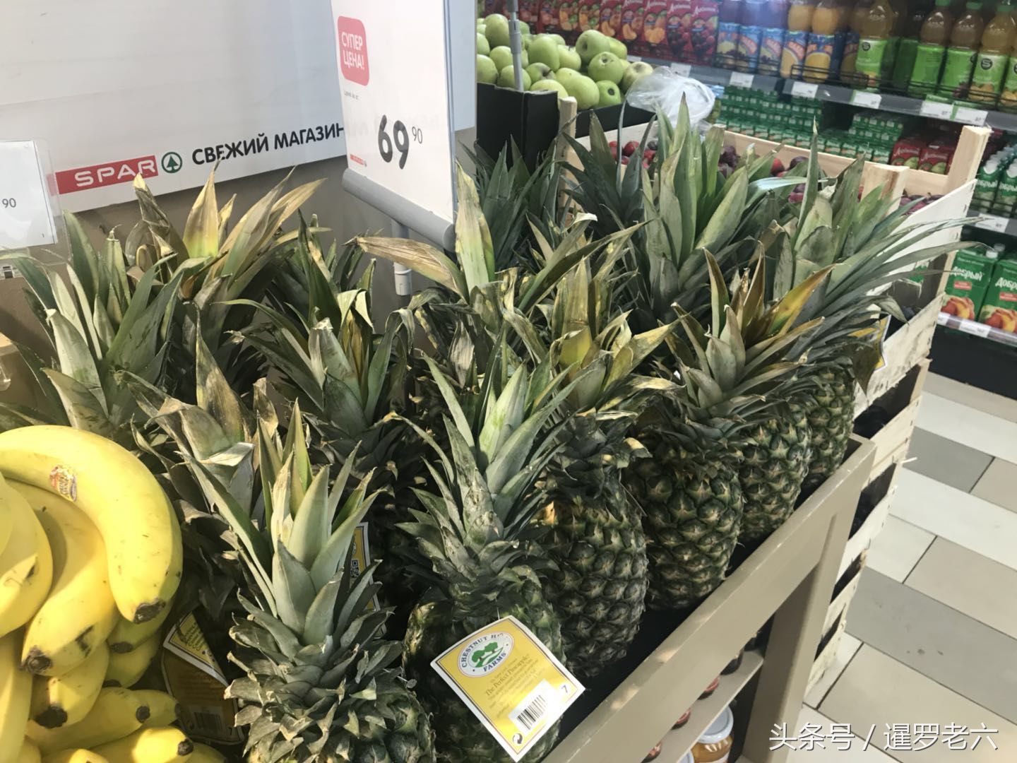 都说俄罗斯物价高?这边水果到底卖啥价?比国