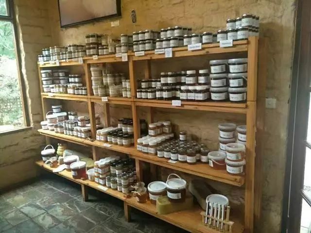 这个内蒙大学生,去澳洲打工旅行7个月,游玩13