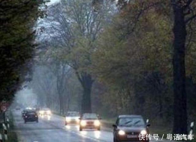 全球公认最奇葩8个规定:第一个最可笑,第四个