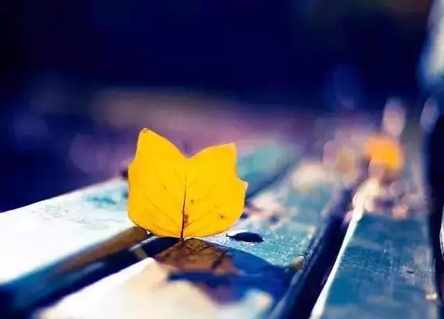 别和小人计较,别和家人生气, 别和自己过不去,