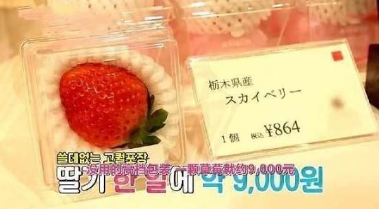 日韩水果天价,秋瓷炫吃的樱桃草莓价格多少让
